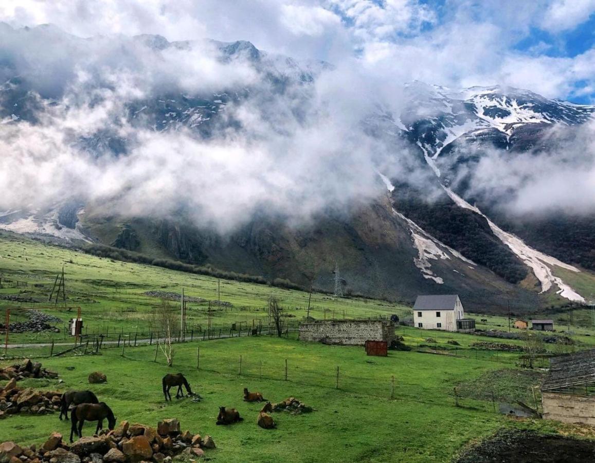 Arte In Kazbegi Otel Dış mekan fotoğraf